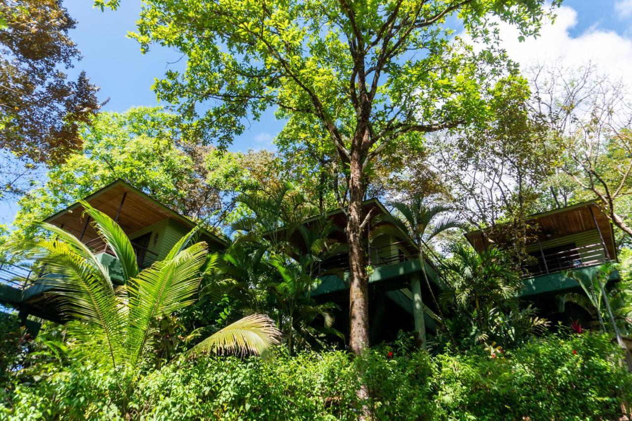 Arbol Verde Villas Ojochal Exterior foto