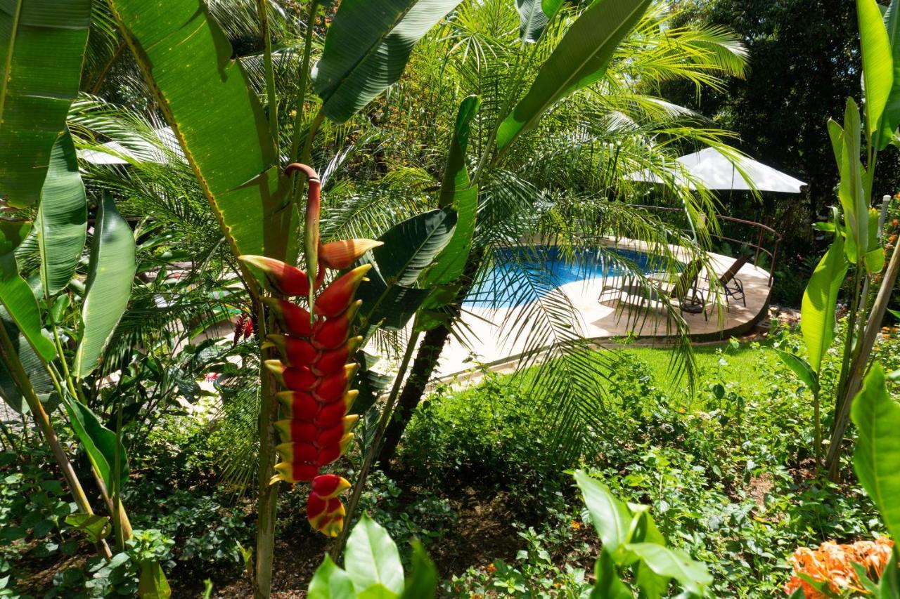 Arbol Verde Villas Ojochal Exterior foto