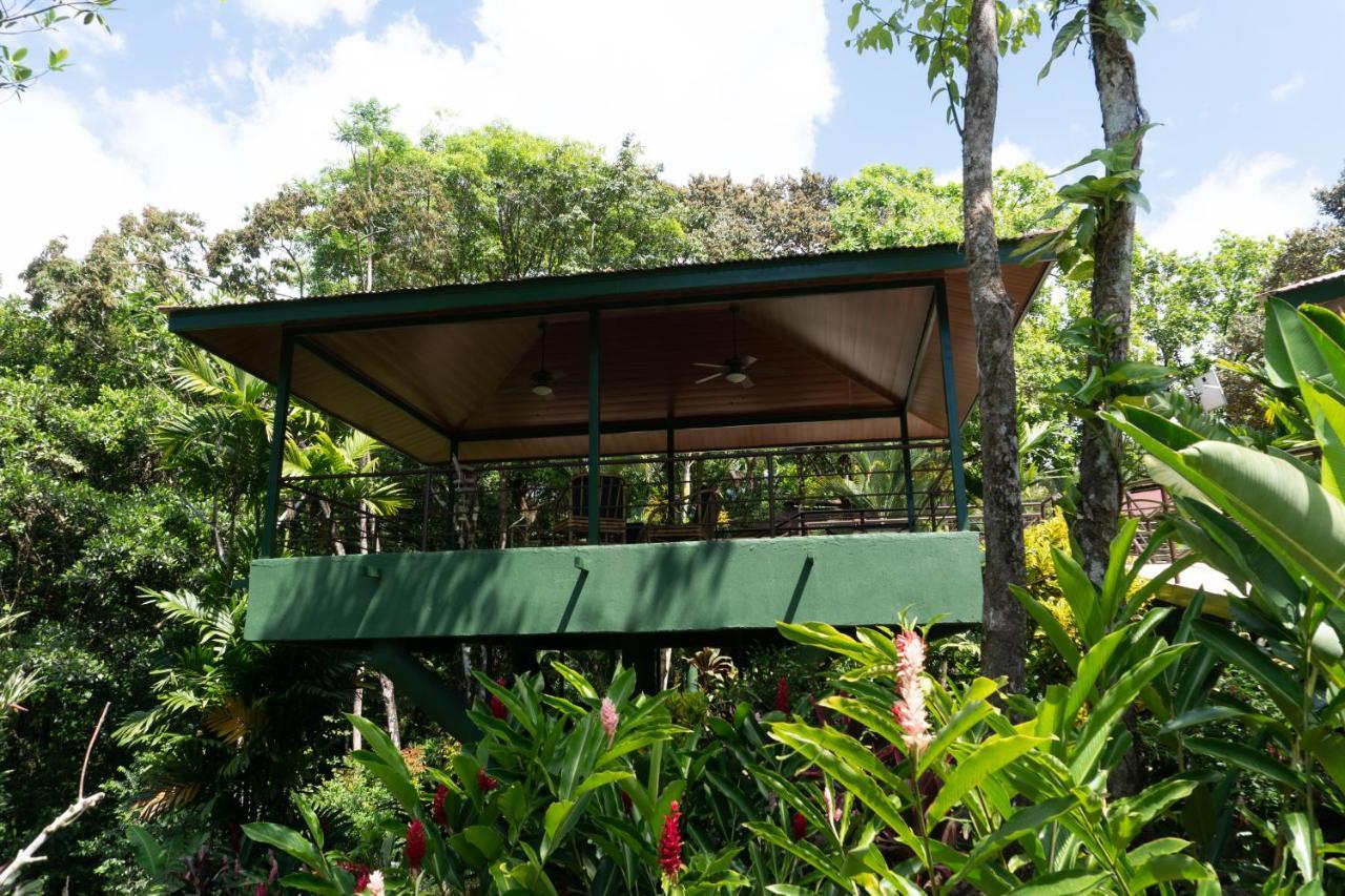 Arbol Verde Villas Ojochal Exterior foto